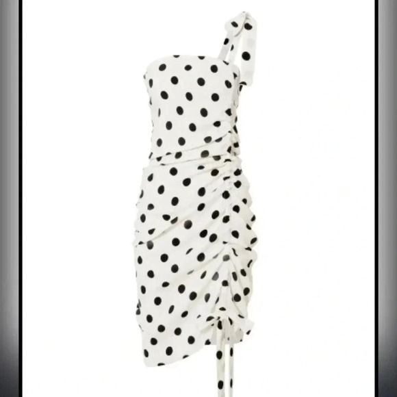Lovers + Friends Monica Polka Dot Dress - Picture 4 of 6
